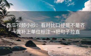 西瓜视频小抄：看对比口径是不是齐→做补上单位标注→把句子拉直