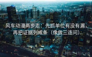 风车动漫两步走：先抓单位有没有漏，再把证据列成条（像做三连问）